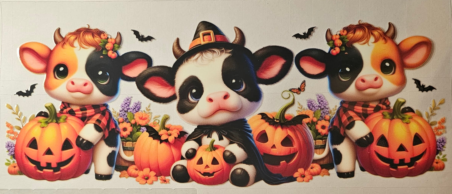 Halloween highland cows.