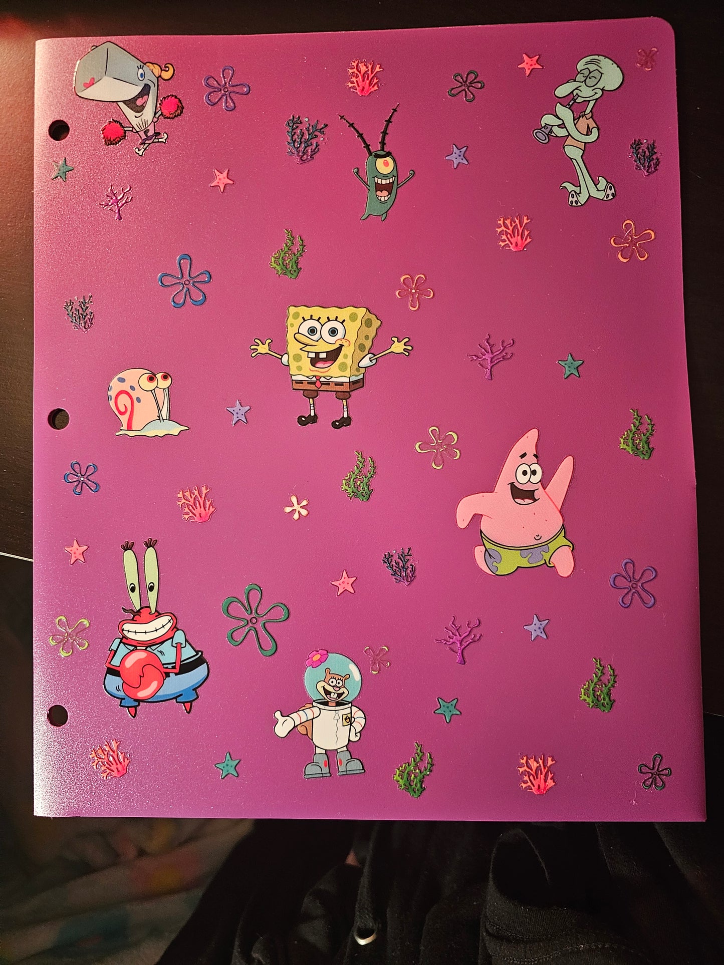 Spongebob and friends peachy folder