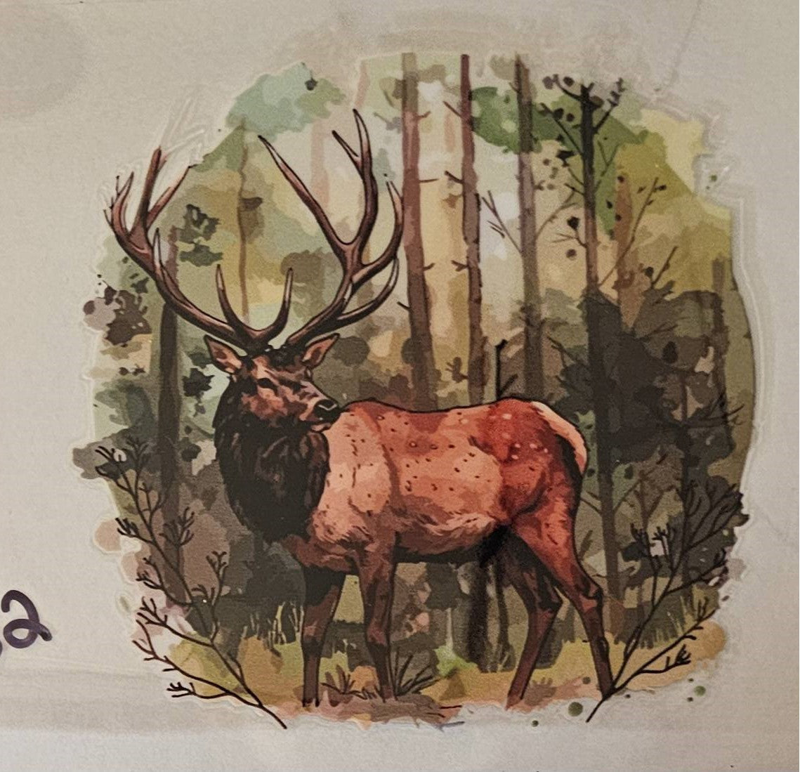 Elk #2