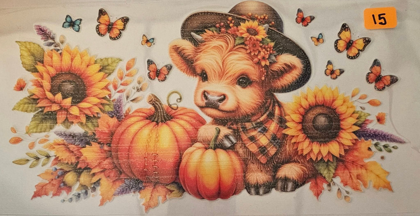 Highland cow with pumpkins #1