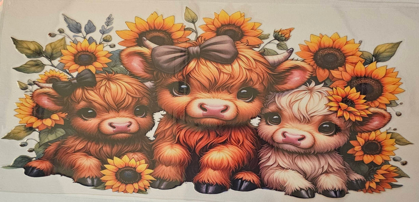 Highland cows with Brown Bows and sunflowers