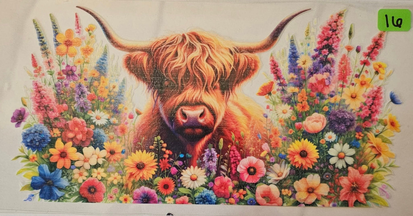 Highland Cow with horns and colorful flowers