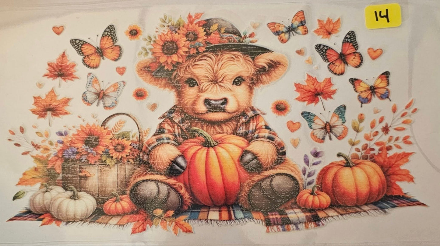 Highland cow with pumpkins #2