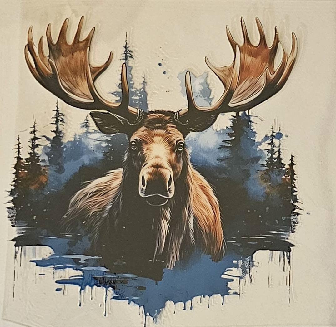 Moose