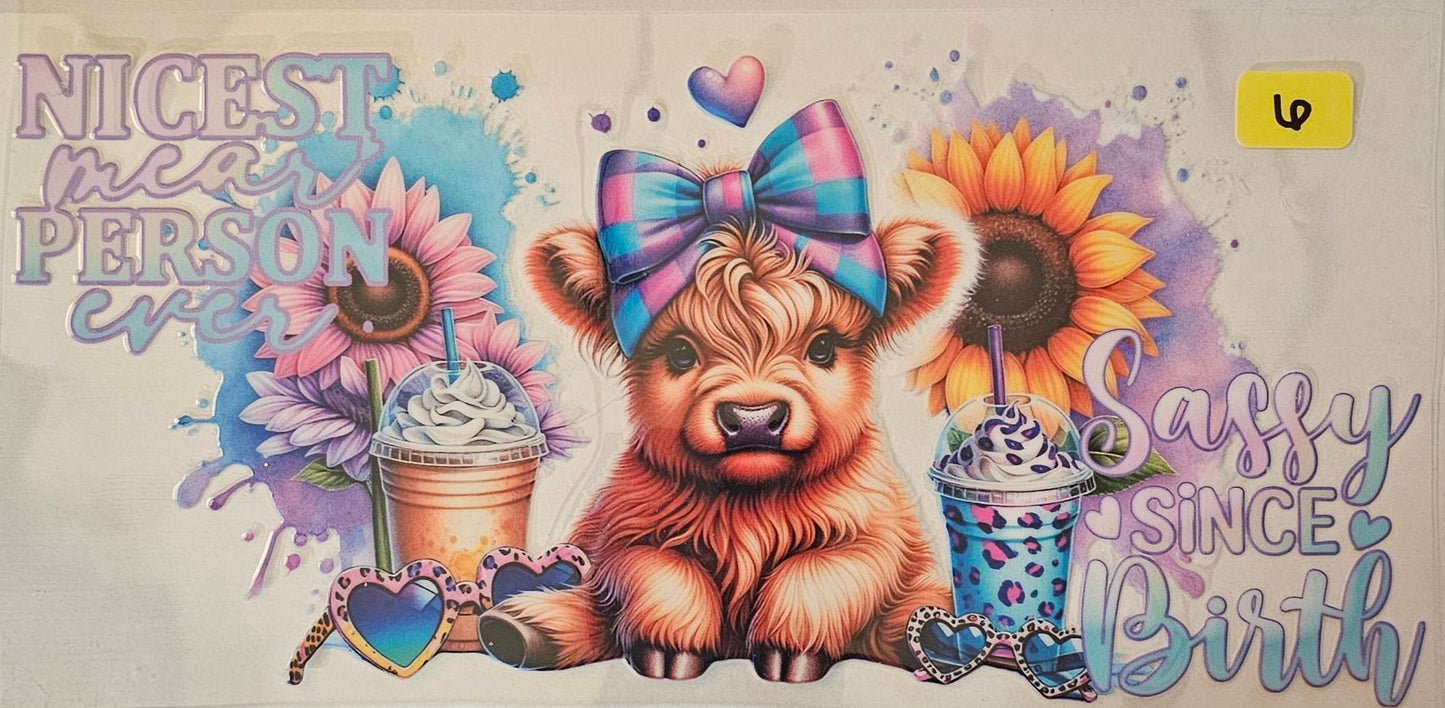 Nicest mean person ever