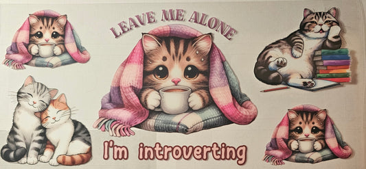 Leave me alone I'm introverting