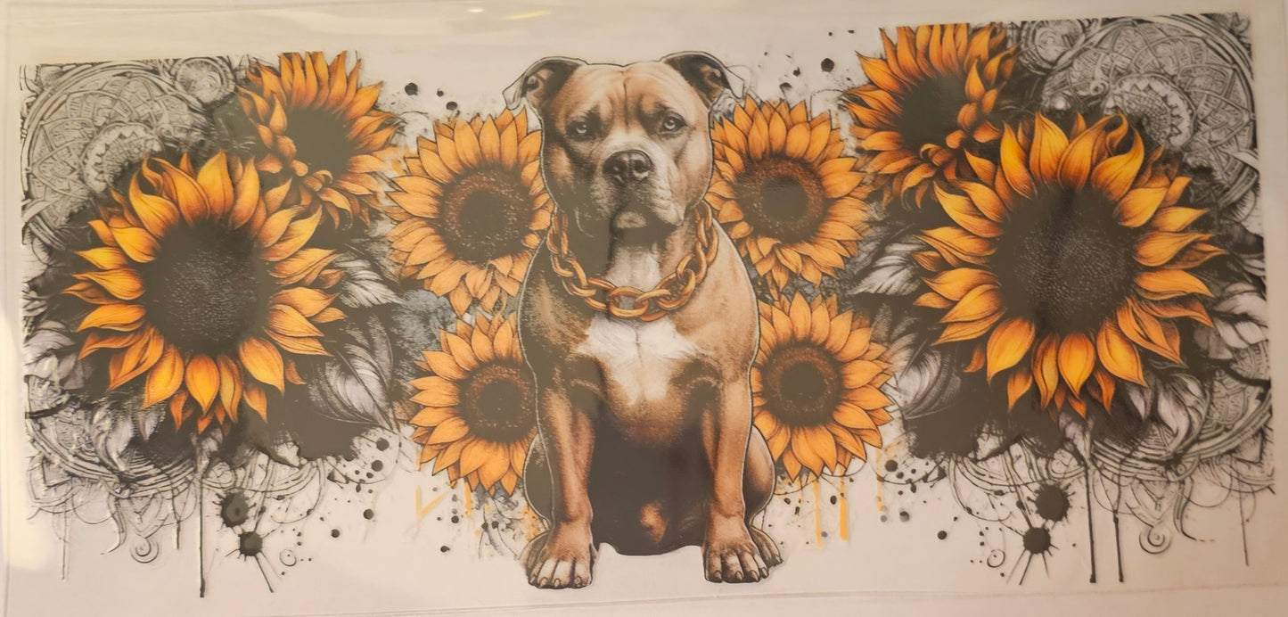 Pitbull with sunflowers