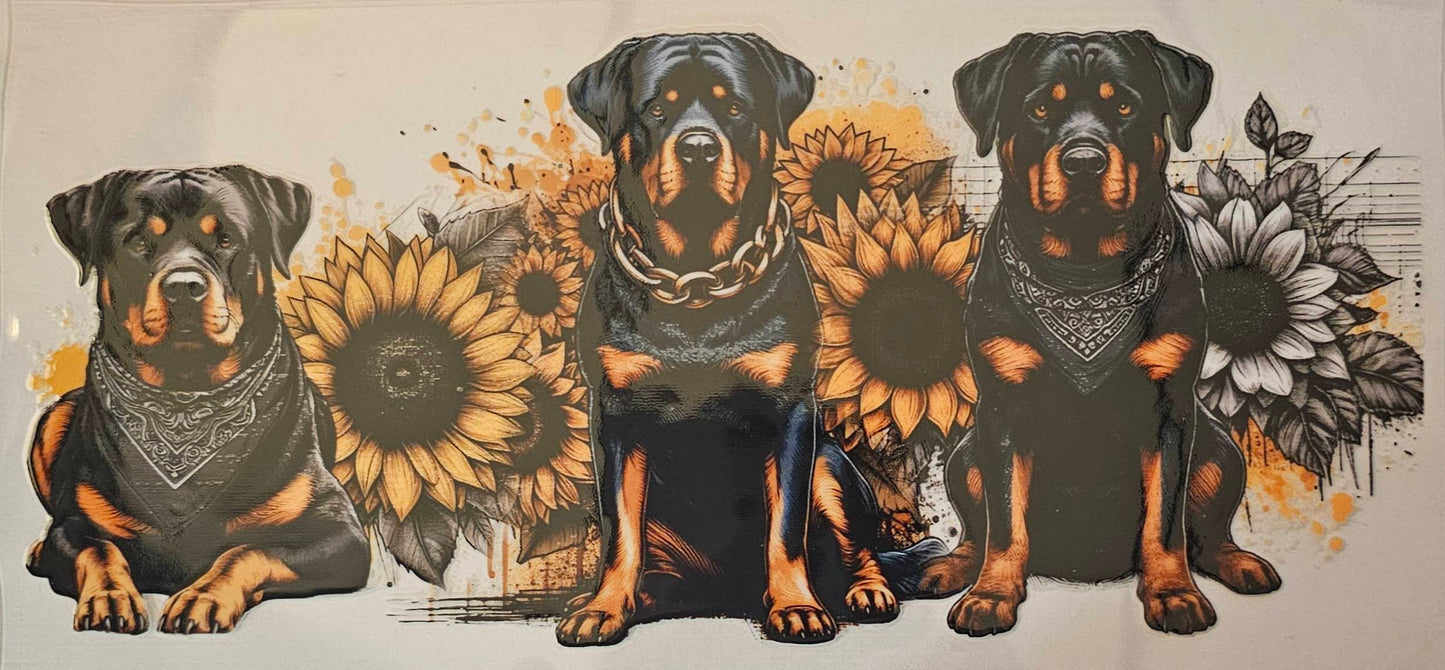 Rottweiler doggies