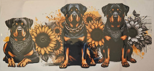 Rottweiler doggies