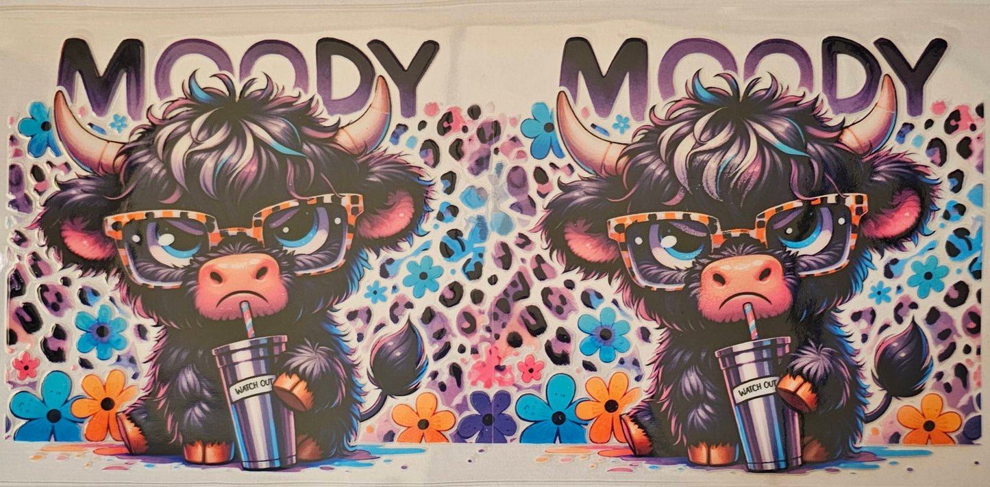 Black moody highland cow