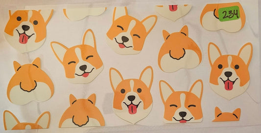 Corgi Pup