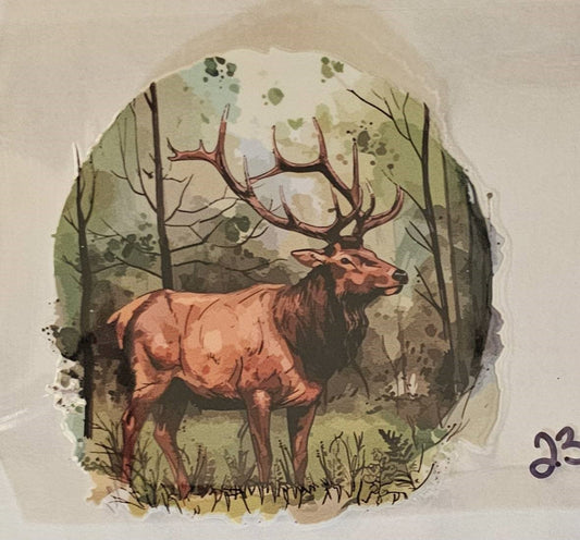 Elk #1