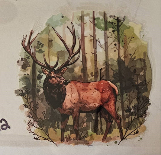 Elk #2