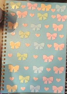 Bows and Hearts Notebook.