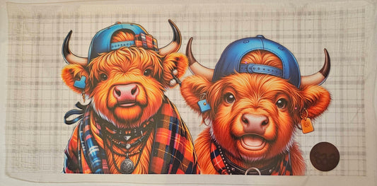 Highland cows wearing hats backwards