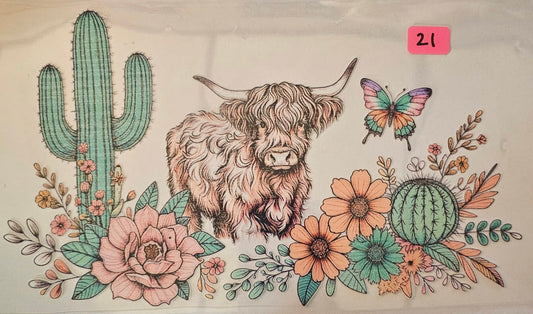 Highland cow in the dessert