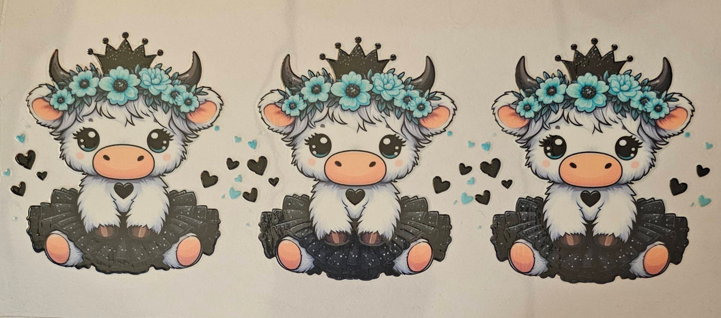 White highland cows with black tutu's
