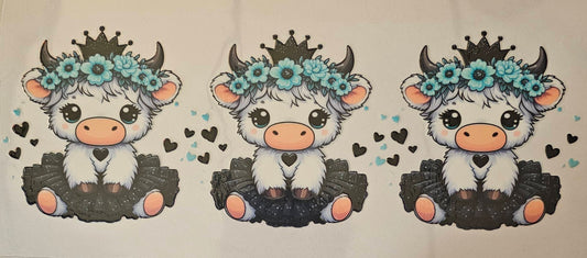 White highland cows with black tutu's