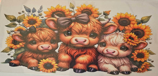 Highland cows with Brown Bows and sunflowers