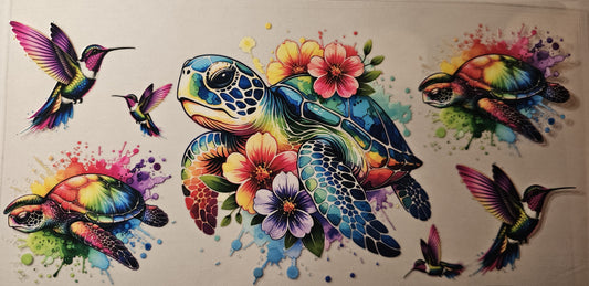 Sea Turtles and Hummingbirds