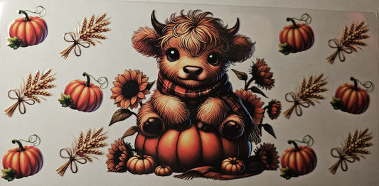 Highland cow with scarf on a pumpkin